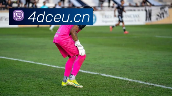 乐竞体育官方网平台生态图